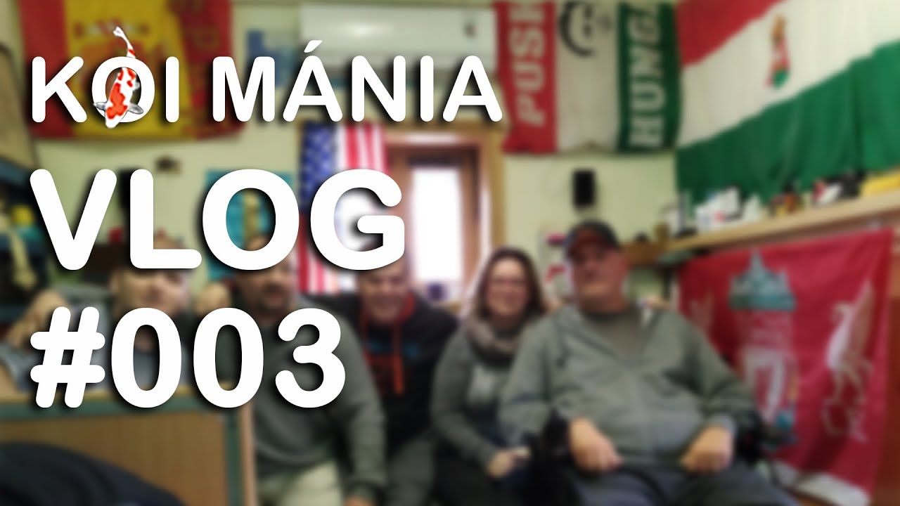 Koi Mánia VLOG#003 - Meglepetés látogatások