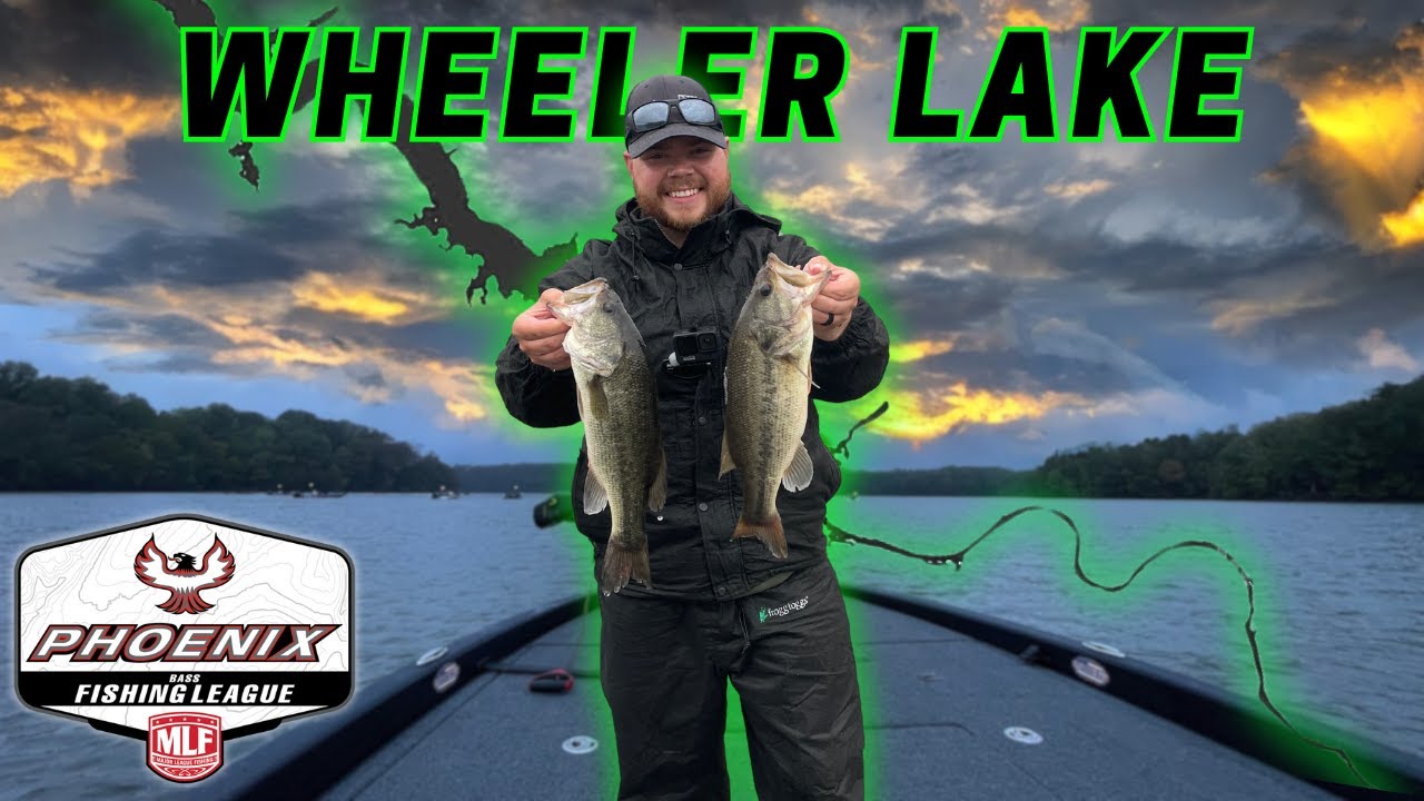 BFL Super Tournament - WHEELER LAKE