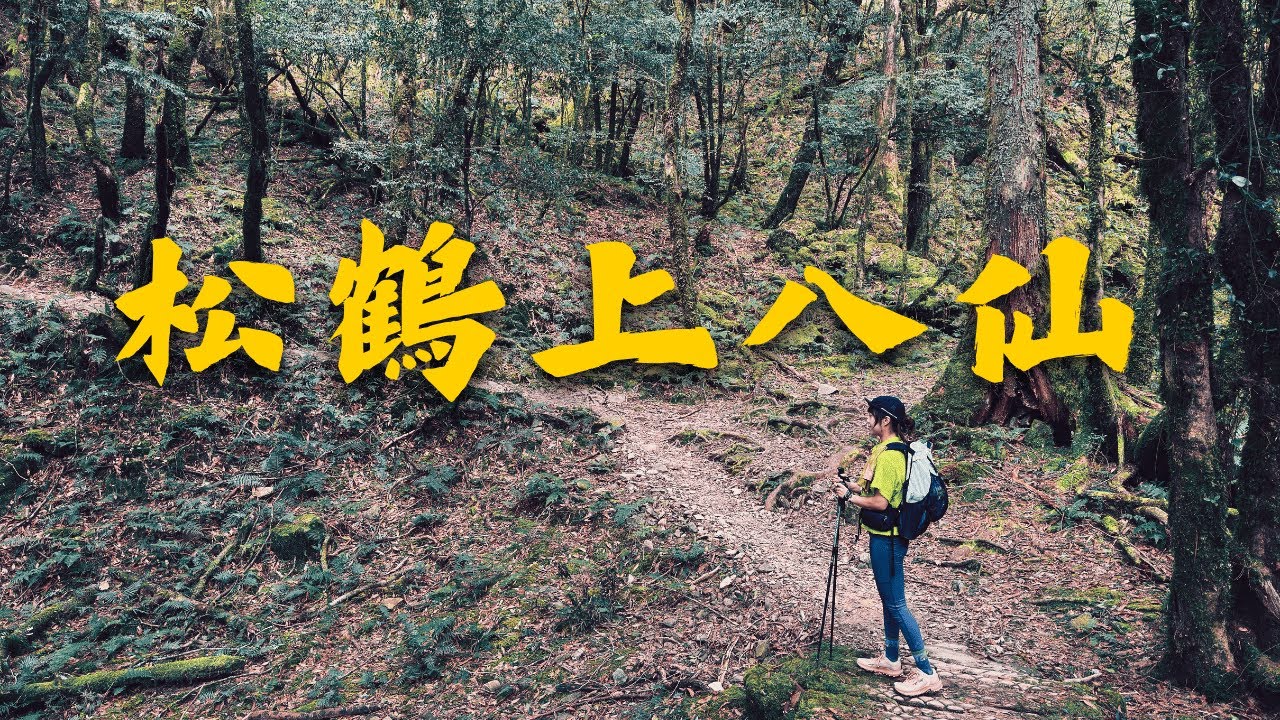 谷關七雄｜松鶴上八仙，爬了三座101的高度｜登山的人