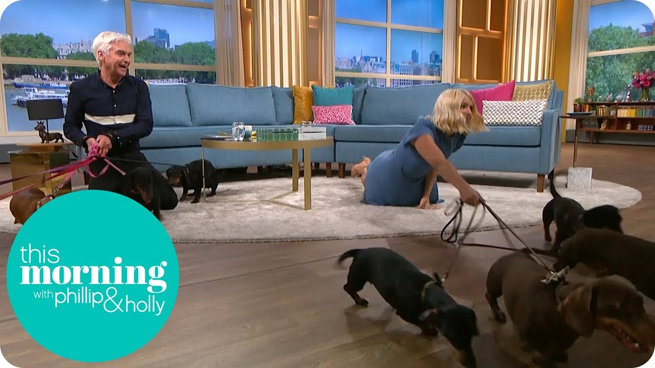 Holly Gets Floored by a Pack of Sausage Dogs | This Morning