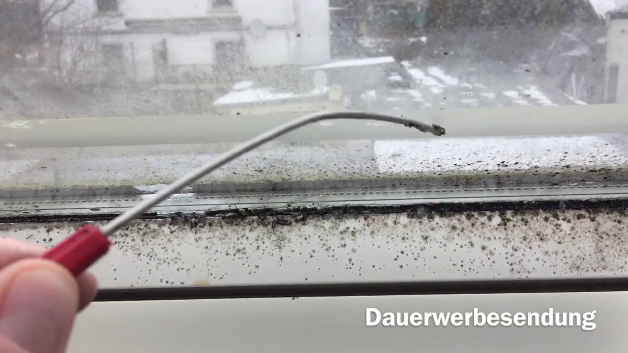 Dachfenster Schimmel entfernen und reinigen | Braas-Atelier Modernisierung.