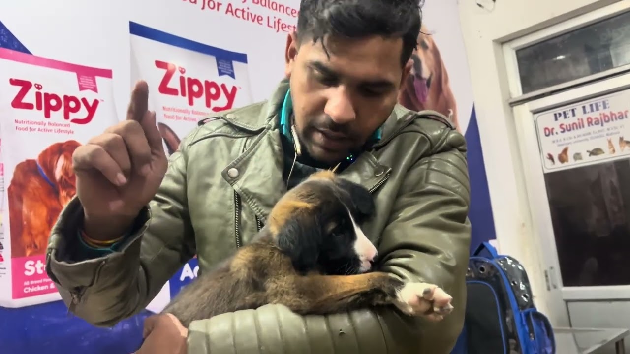 पुलिस बाले ने एक बार फिर पिल्लों को घर से निकाला 😒🙏