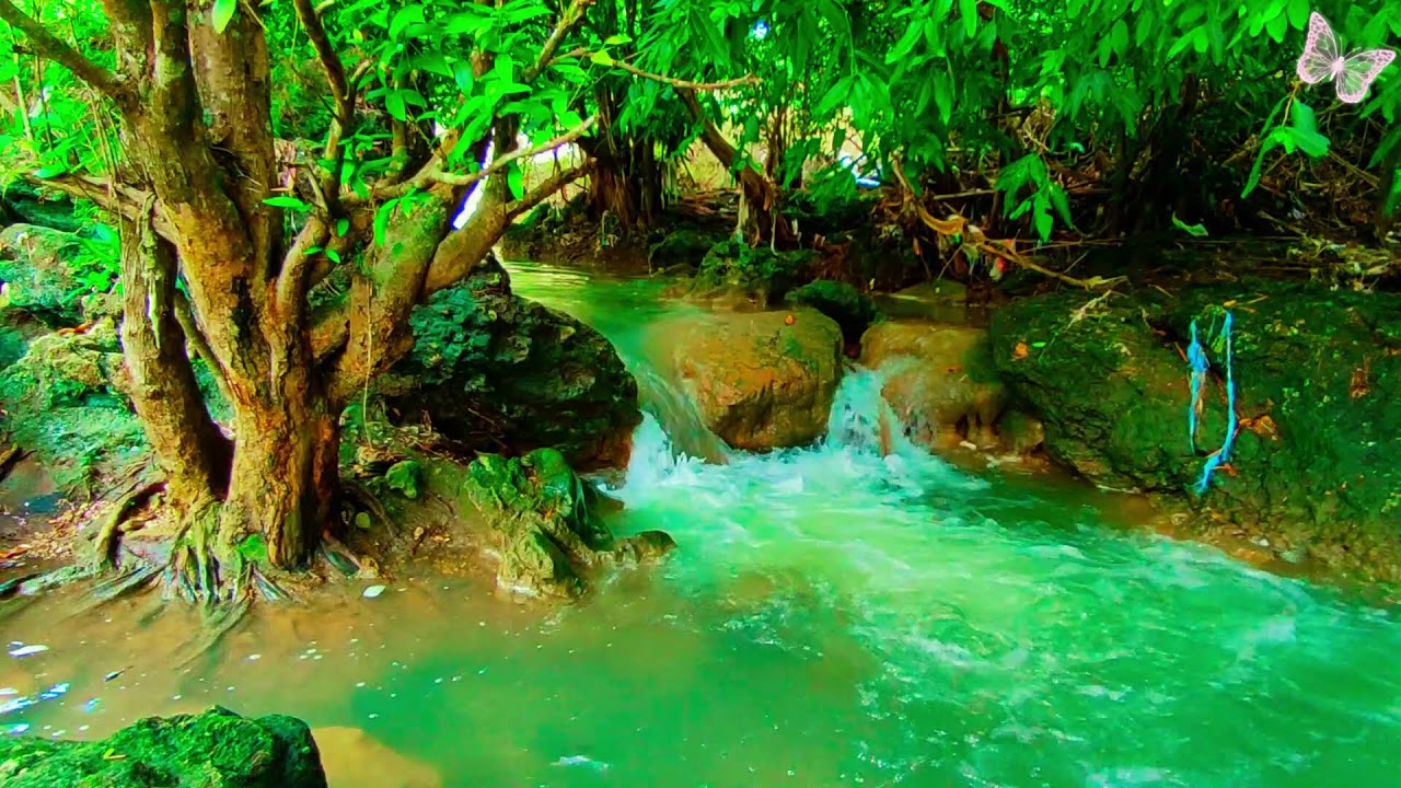 Relaxing Music For Stress Relief, Anxiety and Depressive States🌲Heal Mind, Body and Soul 77