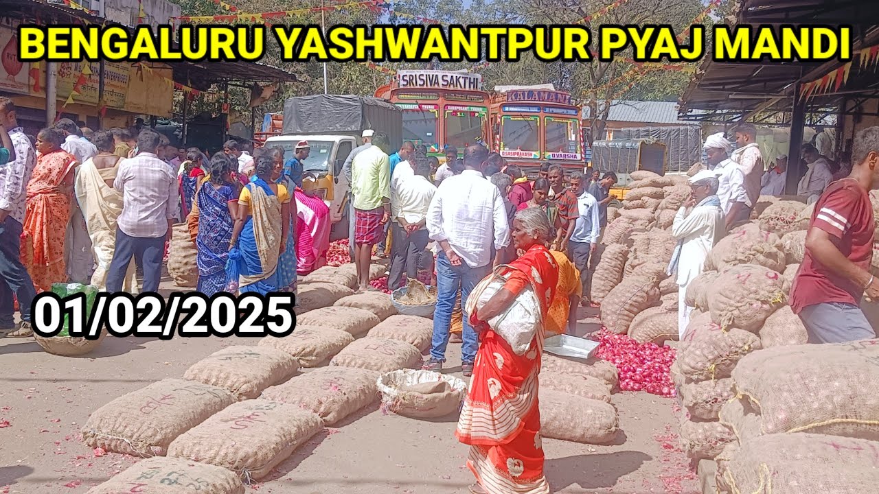 1 फरवरी 2025 को बेंगलुरु मंडी में क्या भाव बिका है प्याज 
