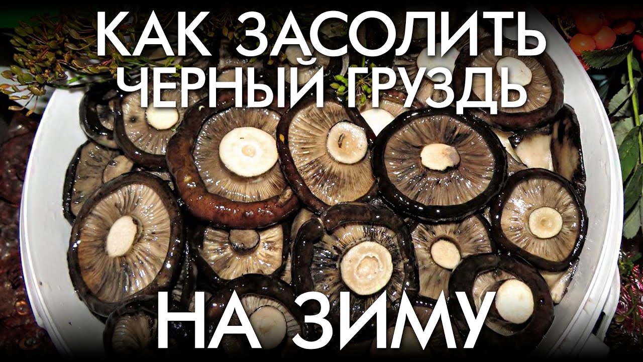 КАК ЗАСОЛИТЬ ЧЕРНЫЙ ГРУЗЬ НА ЗИМУ