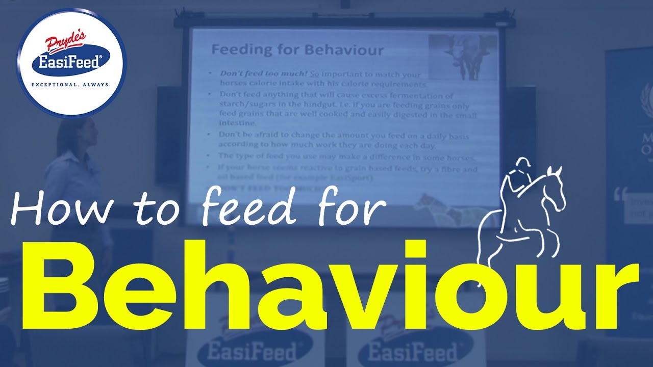 How to feed your horse for behaviour