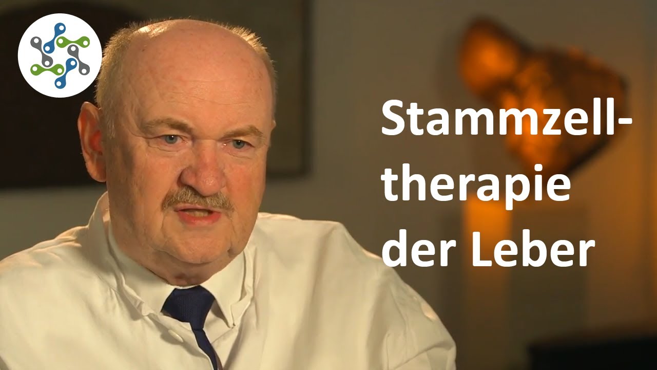 Die Leber: Therapie mit Stammzellen