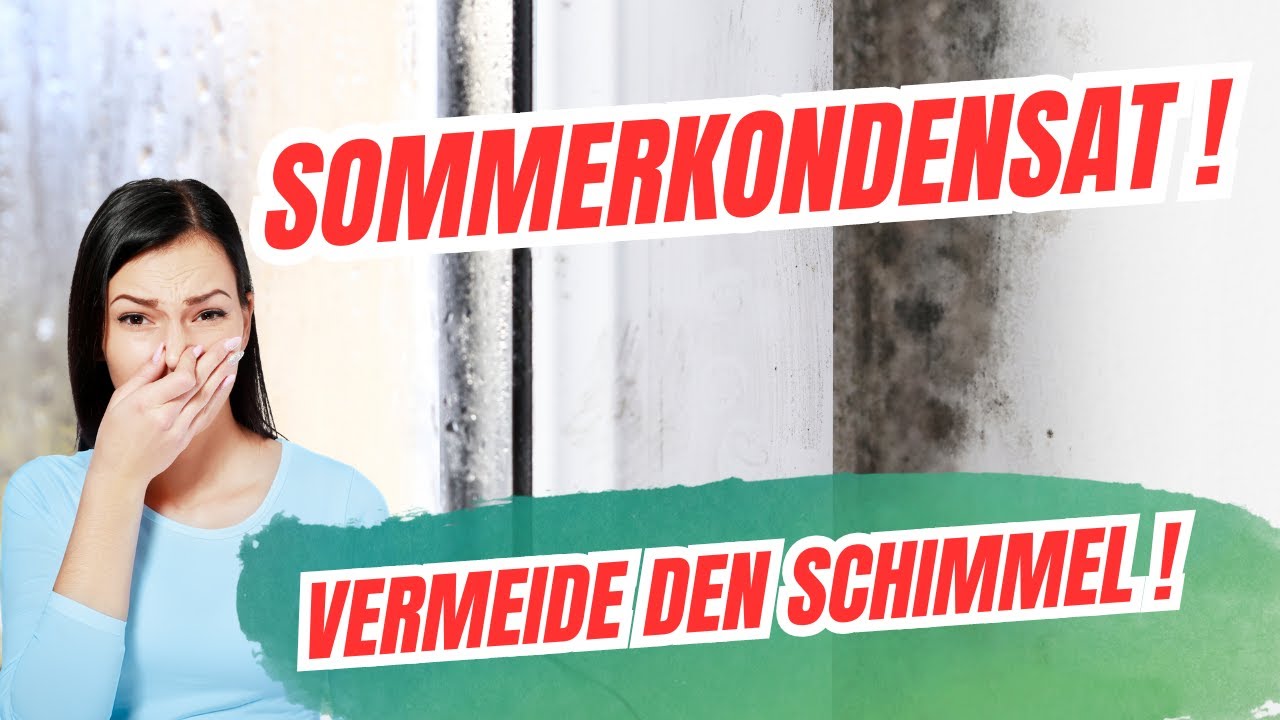 Sommerkondensation - Vermeide den Schimmel!