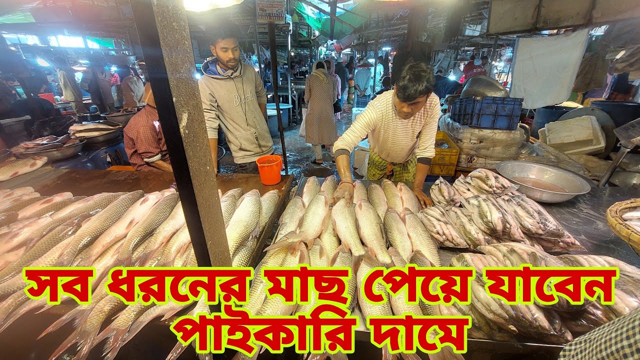 যাত্রাবাড়ীতে পাইকারি মাছের দাম কেমন? Biggest Wholesale Fish Market 21 December 2025 ||My Life