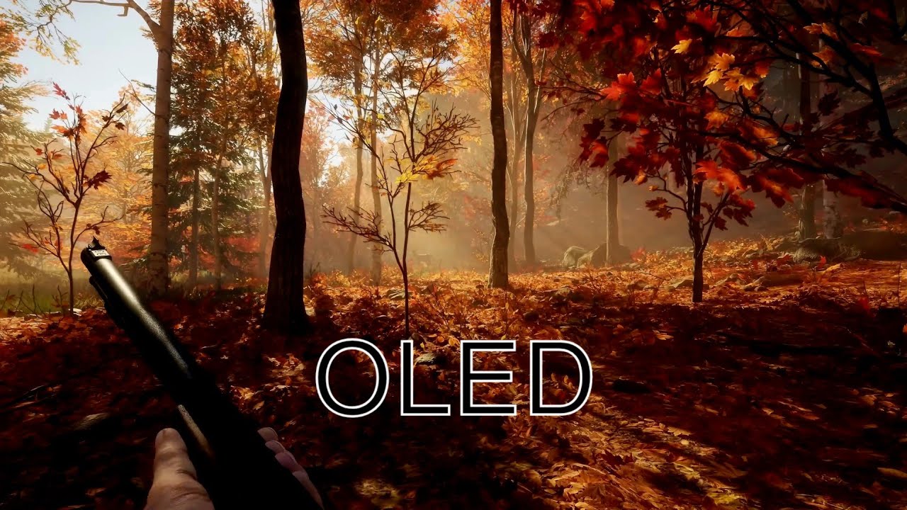 The hunter (Call of the wild) new englend OLED 4K