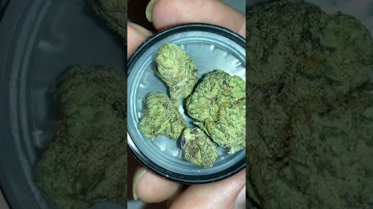 Farmaceutical Rx Banana Runtz Pennsylvania Medical Marijuana 1 gram Sample comparison Grassroots