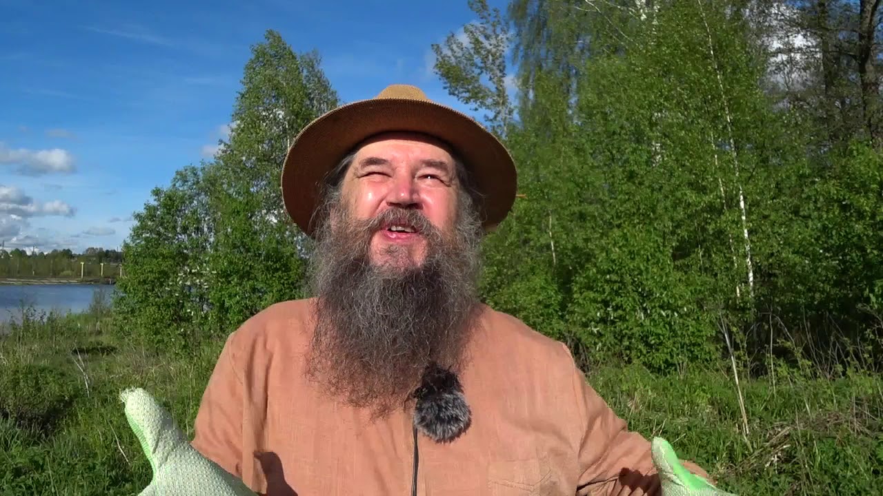 Салат жизни 5 крапива