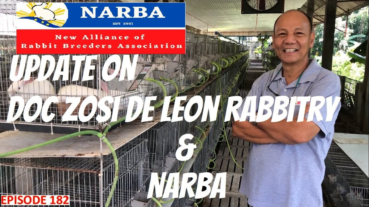 RABBIT FARMING - DOC ZOSI DE LEON RABBITRY UPDATE & NARBA