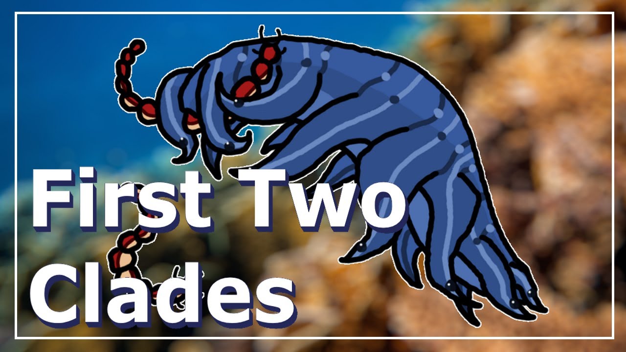 Alien Evolution Ep. 1: First Two Clades