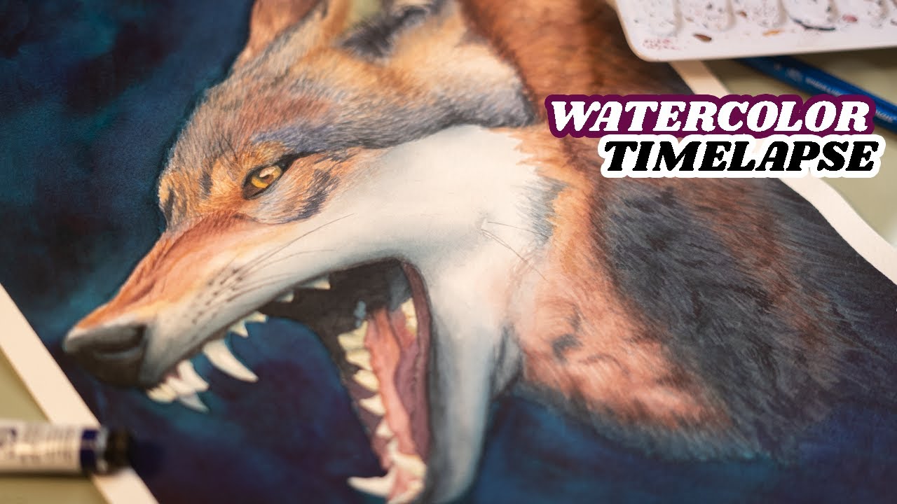 Watercolor Wolf Painting Timelapse | Painting Animals | Realistic Watercolor Painting Timelapse