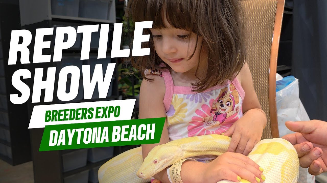 Exploring the Daytona National Reptile Breeders' Expo