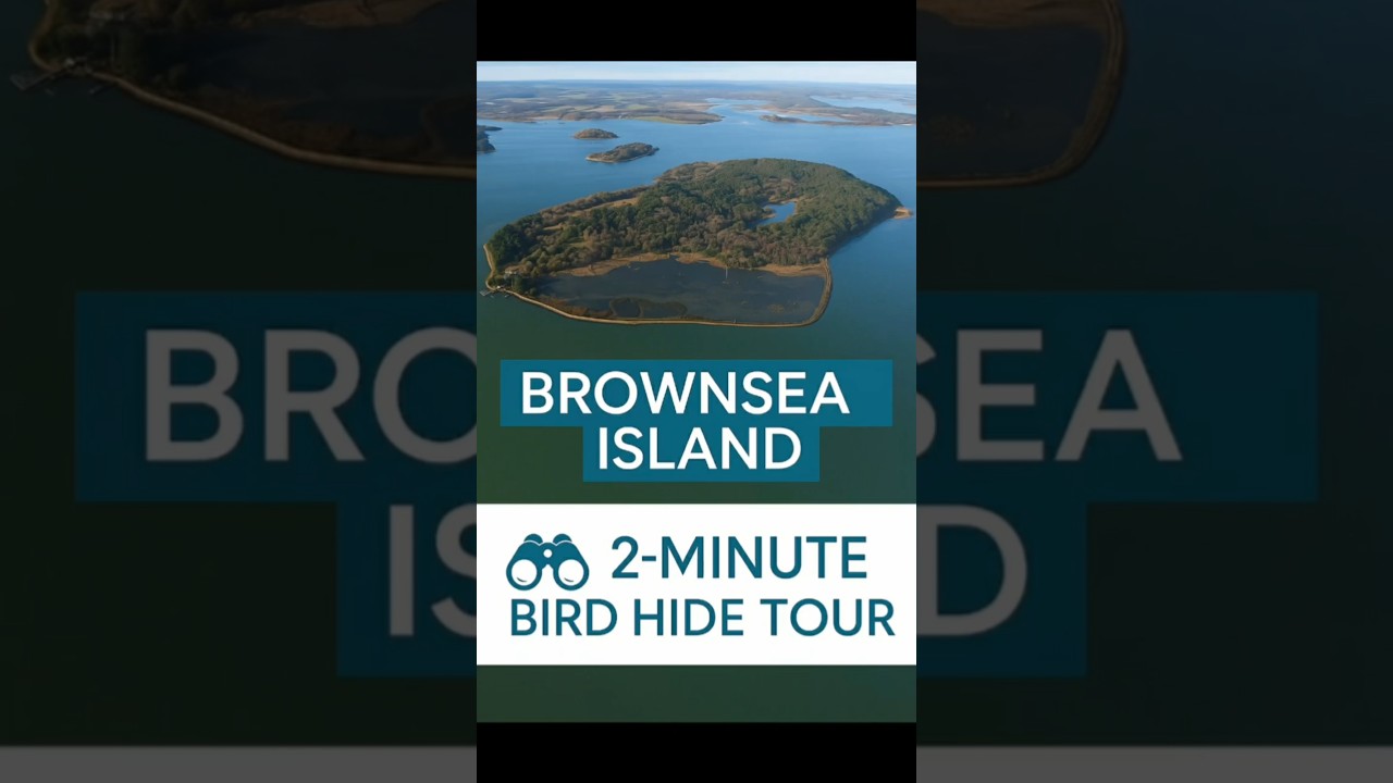 Brownsea island bird hides tour | 