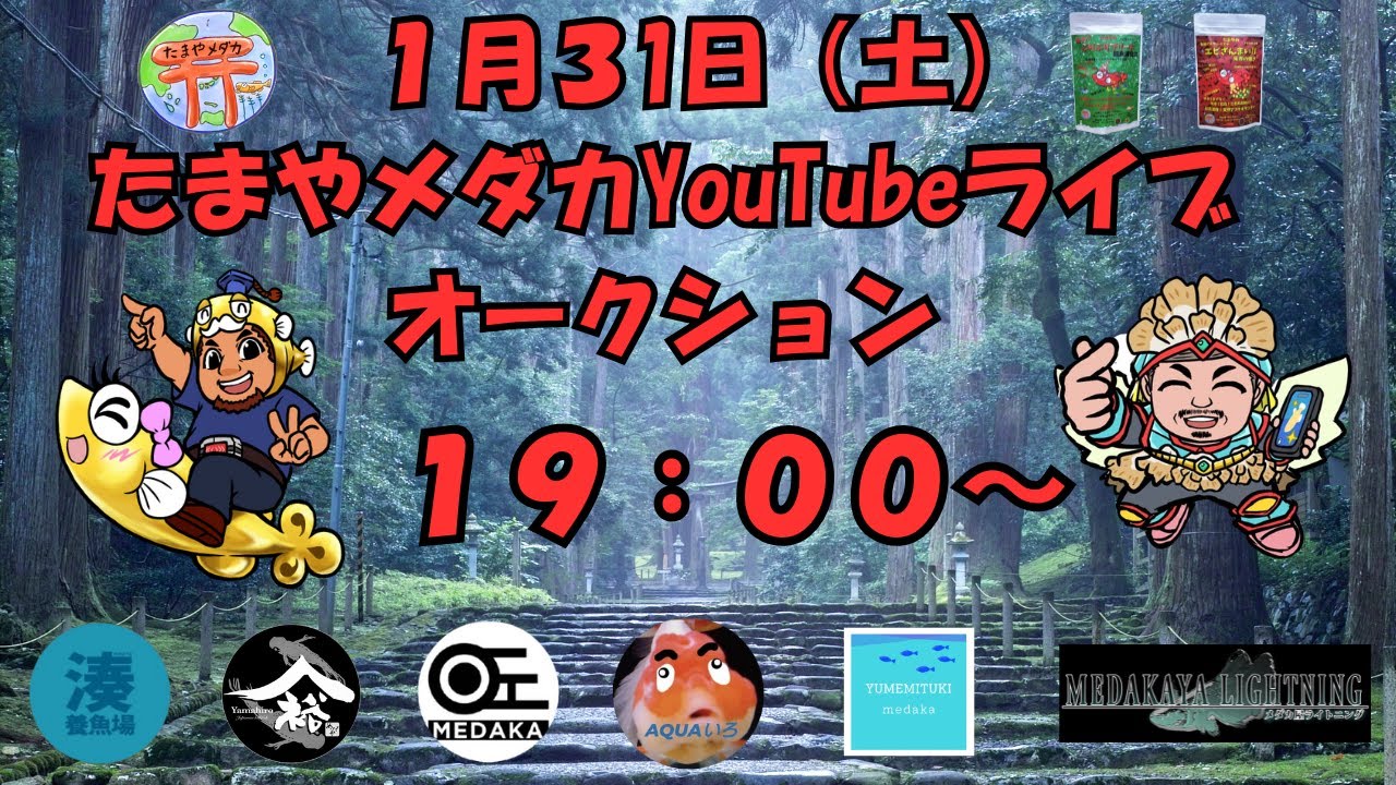 1月31日（土）　ライブオークション