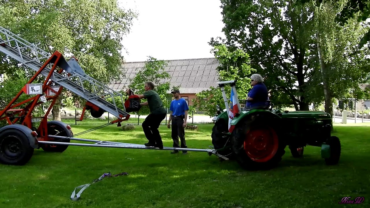 4. Juni 2019 Entnahme zweier Jungstörche Bergenhusen, Baby´s wir kommen!