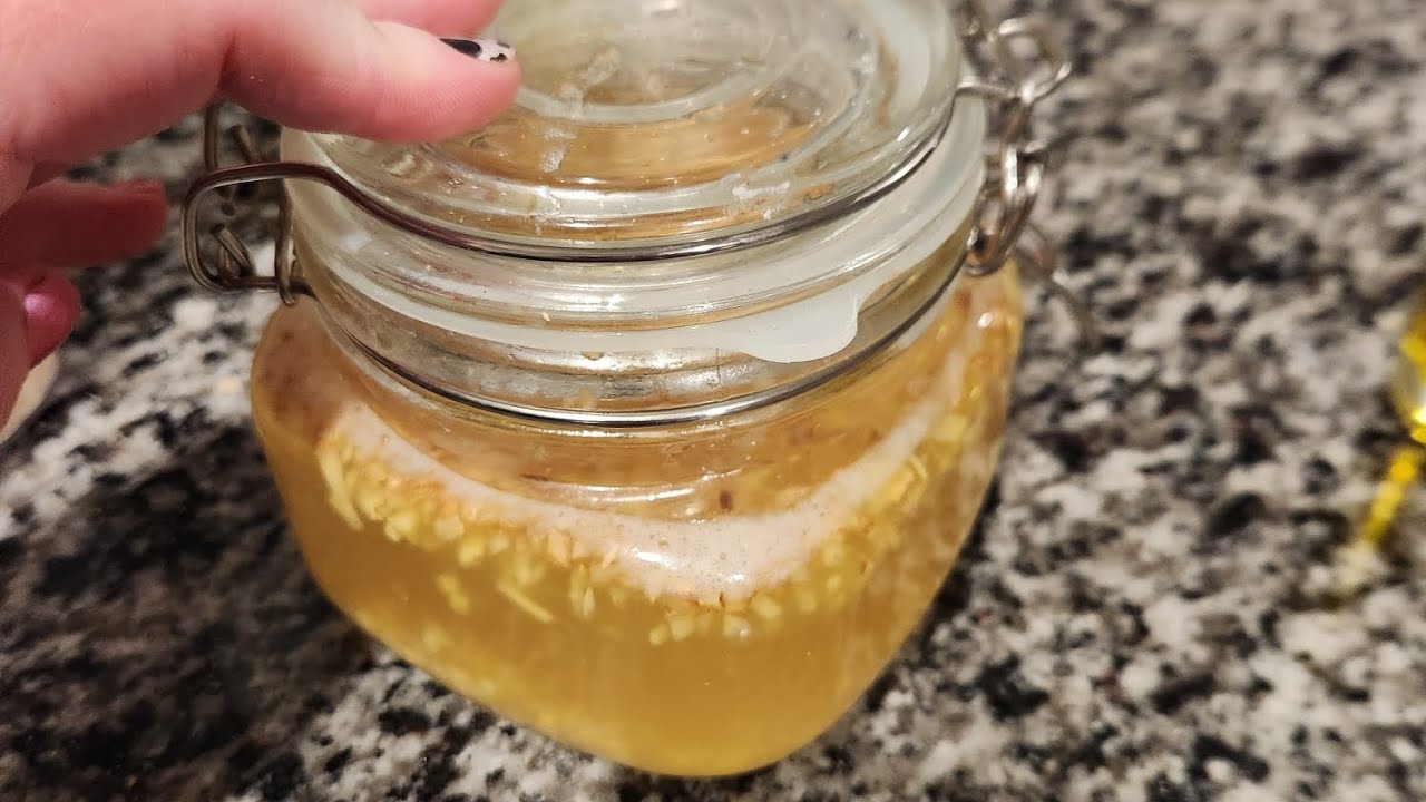 How to make a ginger bug and ginger bug soda.