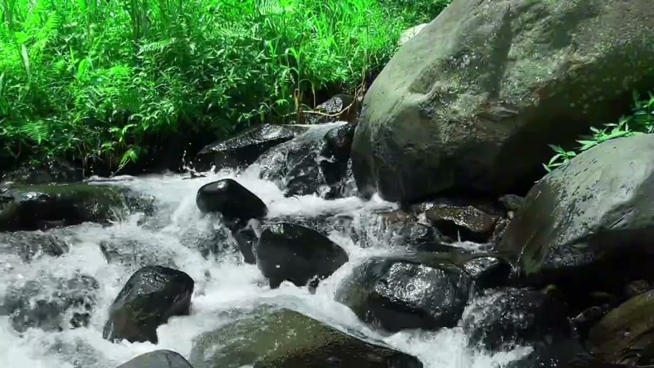 Nature Sounds of Peaceful Forest River | Deep Sleep and Relaxation Ambience