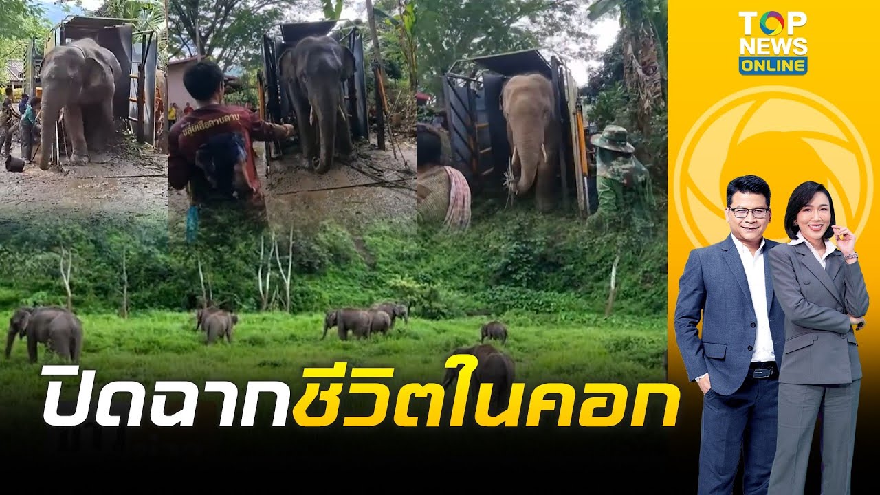 ปิดฉากชีวิตในคอก กว่า 9ปี ย้าย
