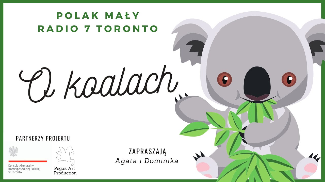 O koalach 🐨 (audycja animowana)