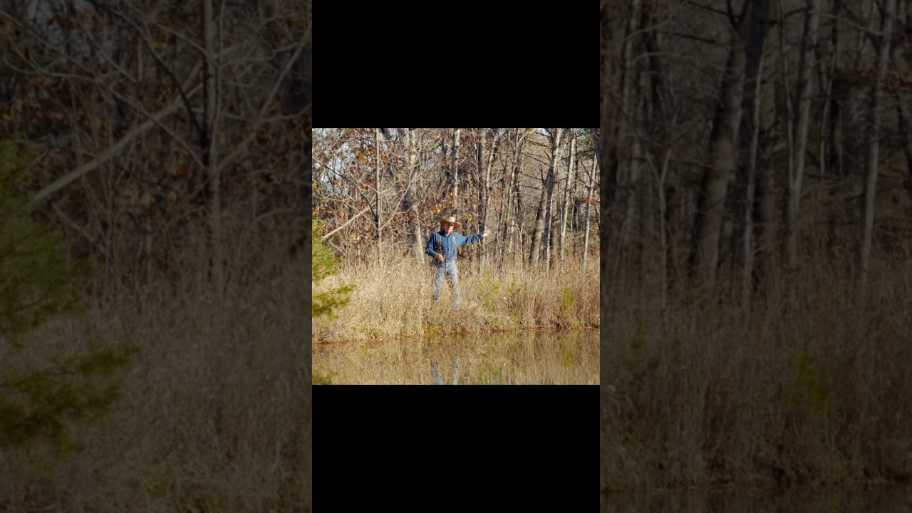 How to Use Ponds for Gravity Fed Water on your #farm & #homestead #joelsalatin #regenag