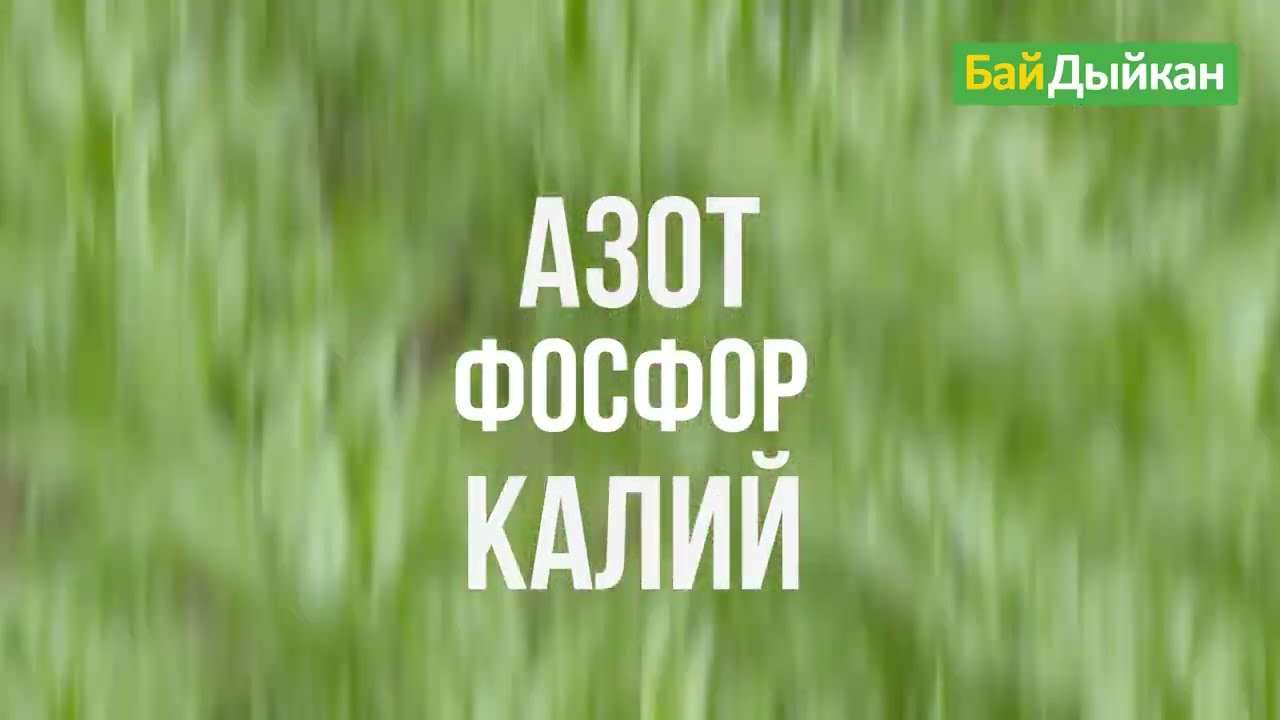 Азот, фосфор, калий кандай функцияны аткарат? Адистин жообу