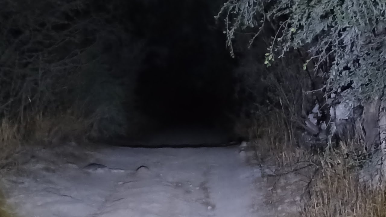 Tétrico lugar 😱