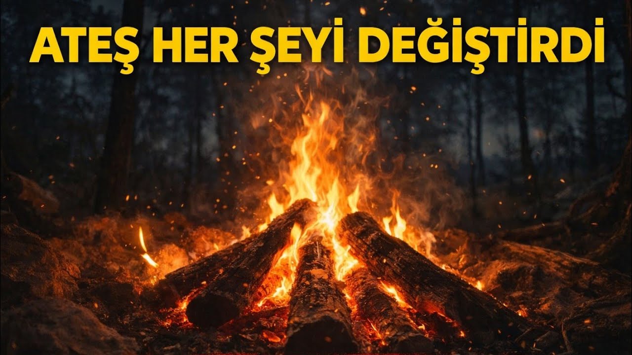 Ateş Her Şeyi Nasıl Değiştirdi? (Uyku Belgeseli) 