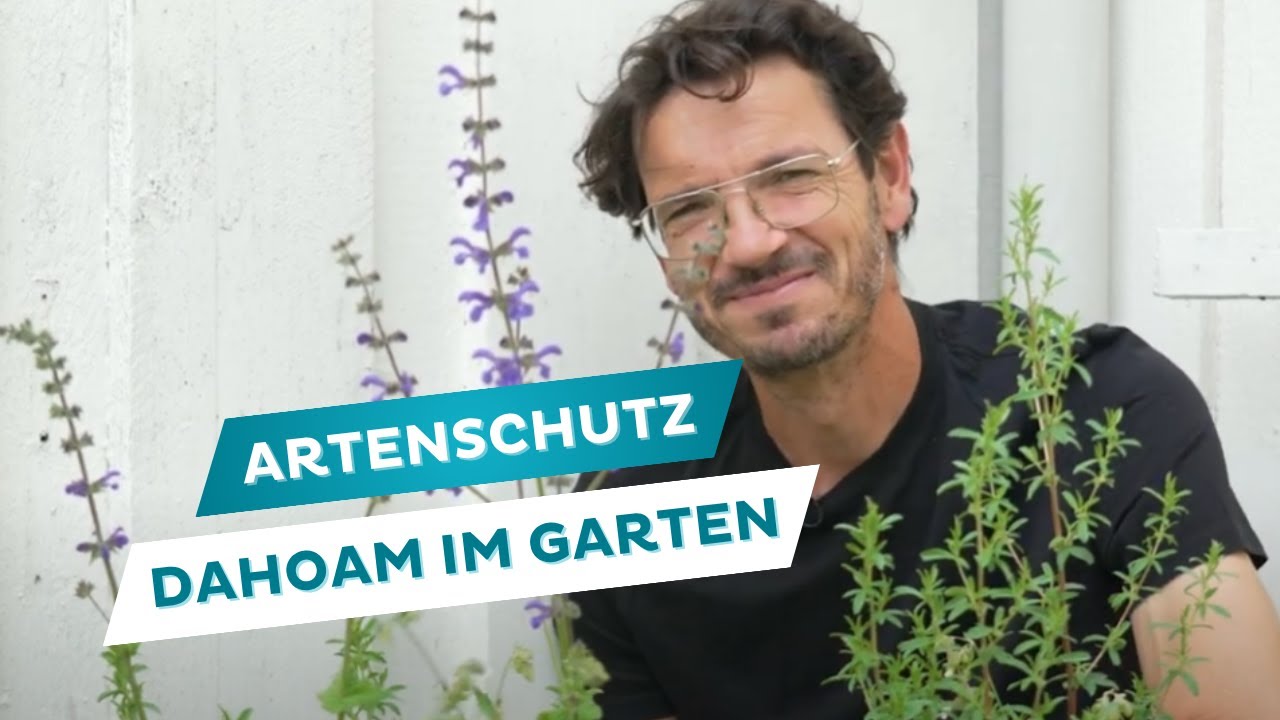 Artenschutz und Wildpflanzen - Tipps für den Naturgarten