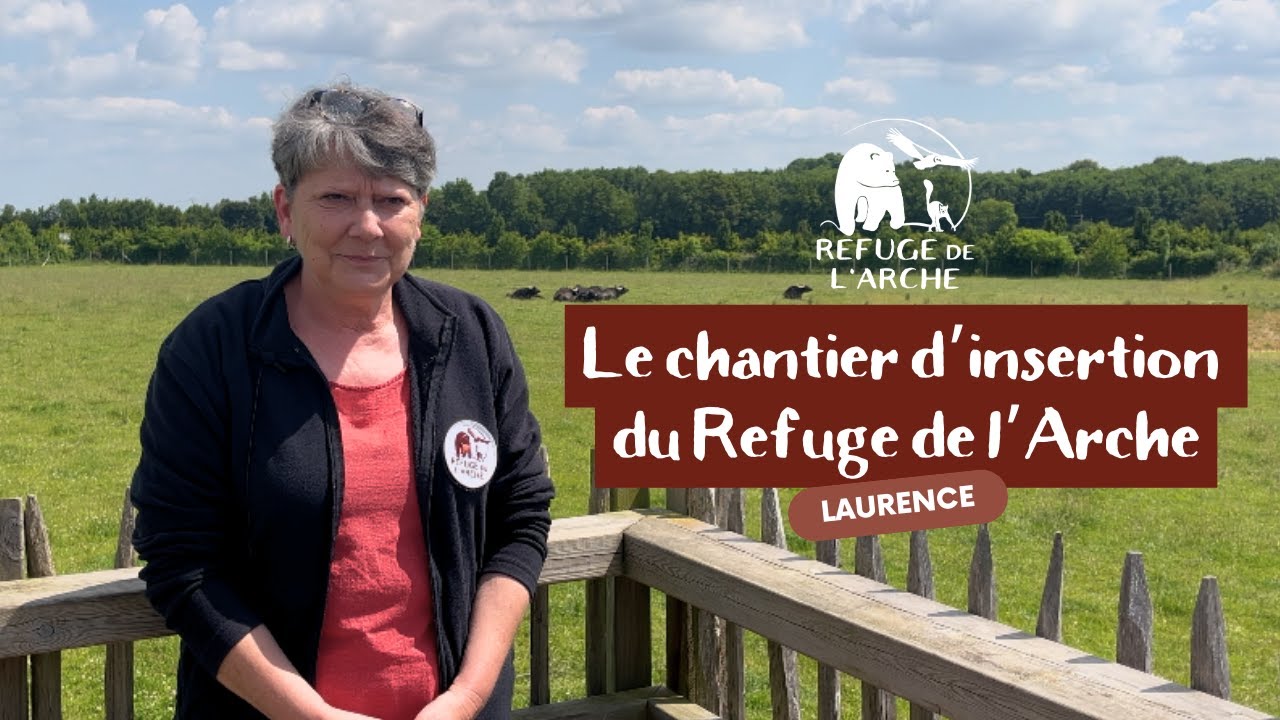 Le chantier d'insertion du Refuge de l'Arche 🤝