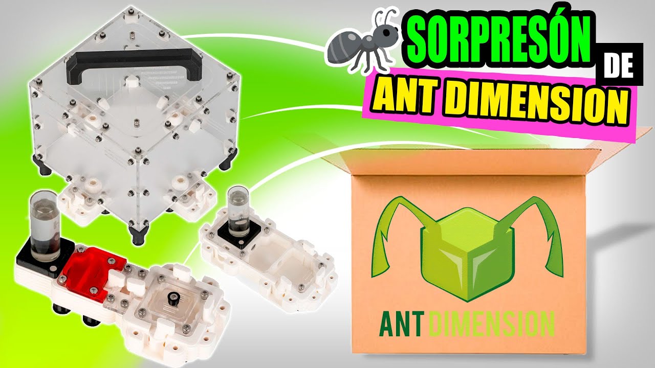 LO MEJOR PARA MIS HORMIGAS! ANTBOXING 🐜 Ant Dimension