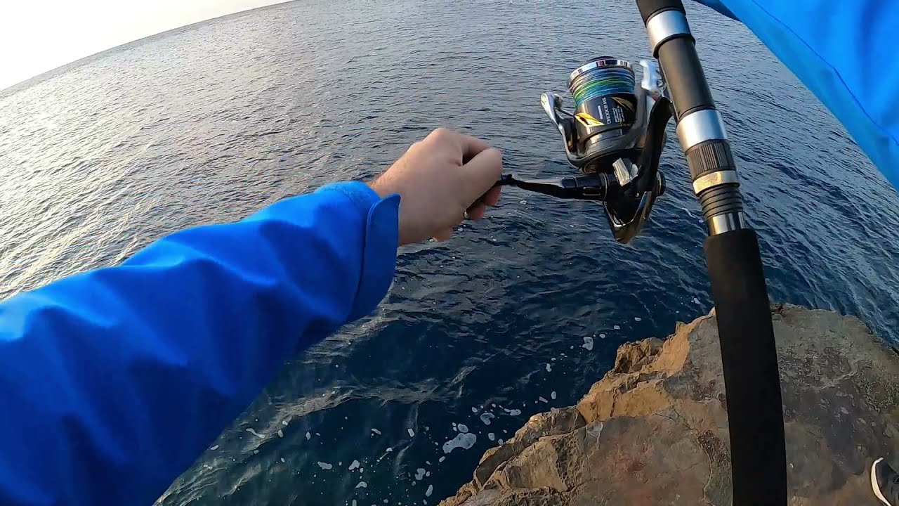 Shore jigging - Lost nice size Mahi Mahi (Dolphinfish)