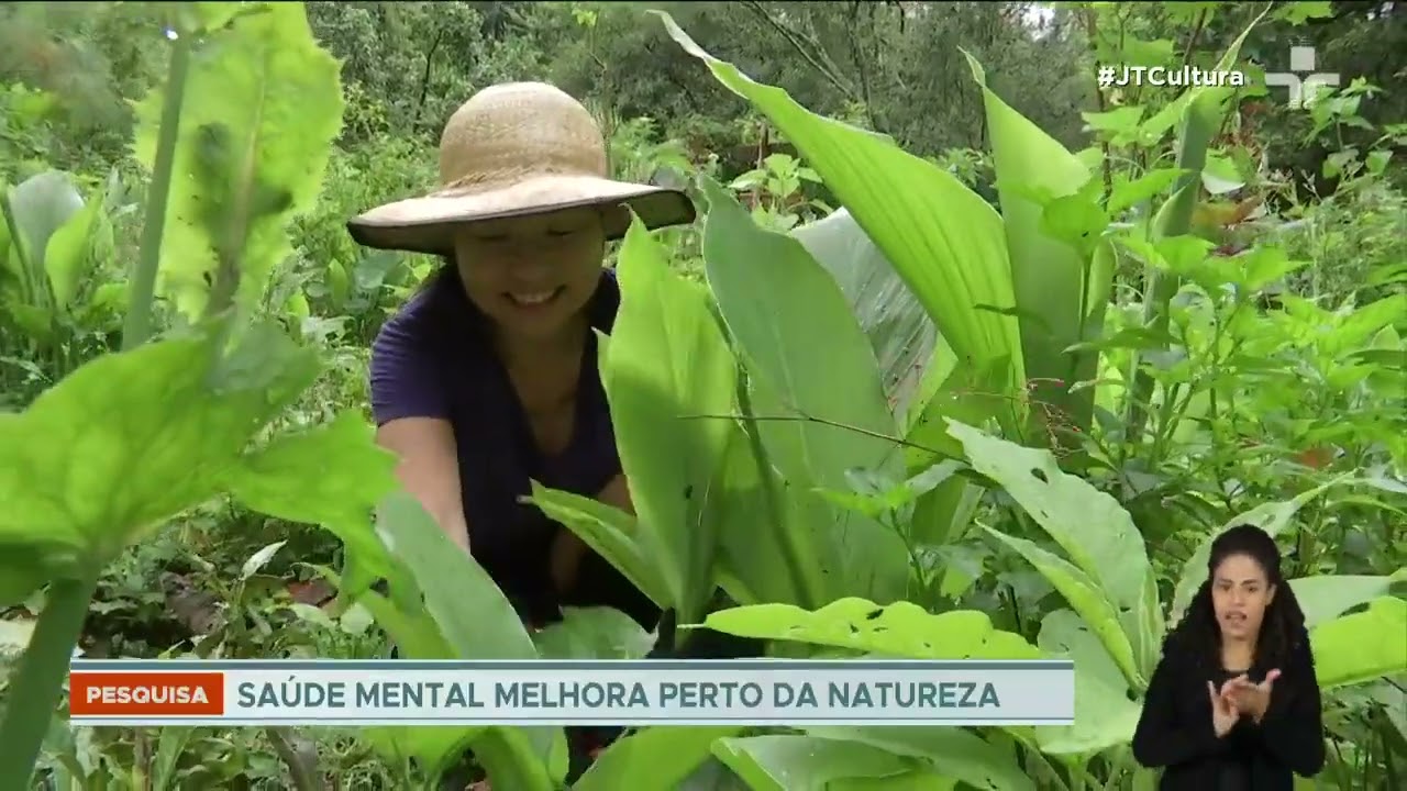 Hortaterapia: cultivo de plantas e flores pode ajudar na saúde mental, afirma estudo