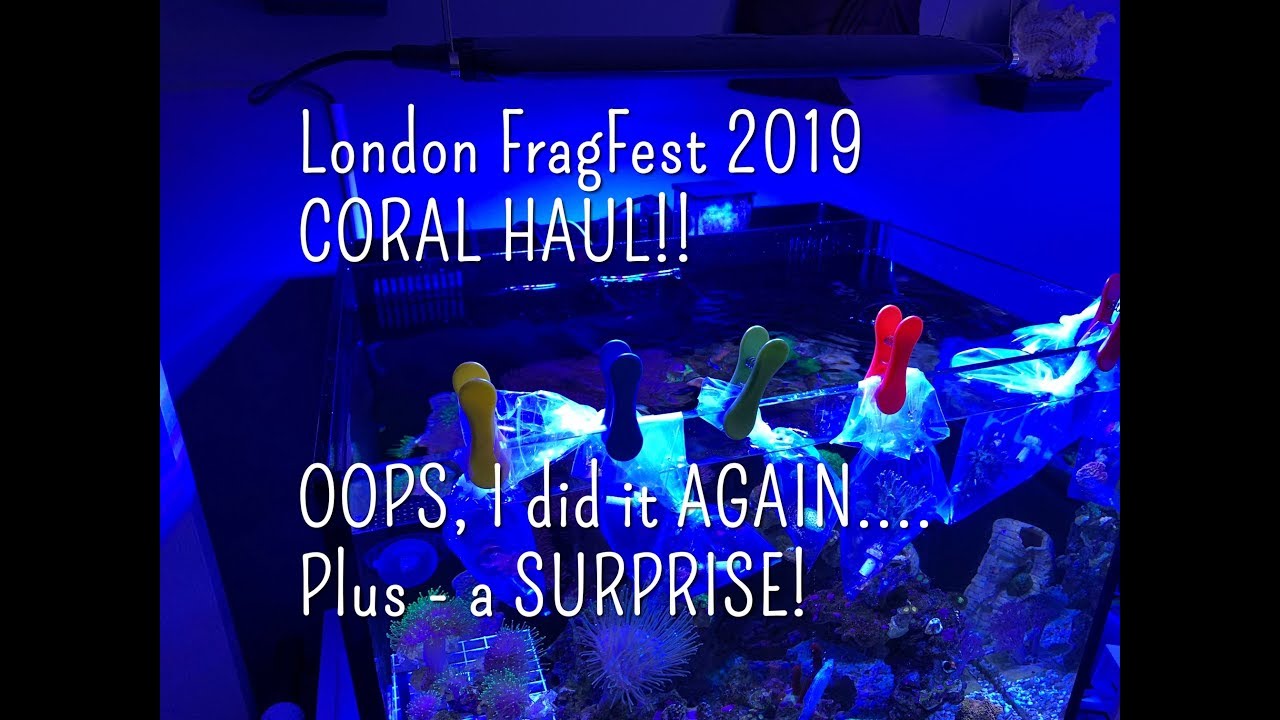Reefgrrl&rsquo;s CORAL SHOW HAUL! Polyplab Reef Primer! Tip of the Day! And a special SURPRISE! 😲