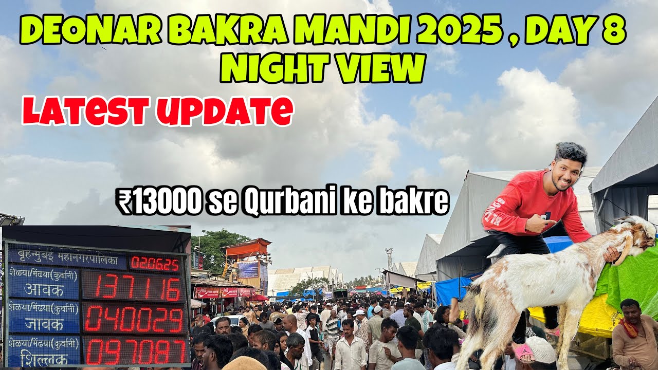 Deonar Bakra Mandi Day 8 Latest Update||₹13000 se Qurbani ke Bakre||#deonar #deonarmandi #bakramandi