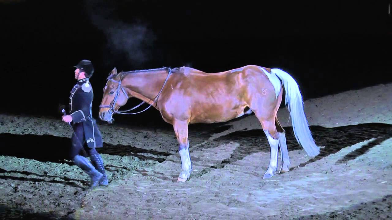 Equine Affaire 2013 Fantasia - Tommie Turvey