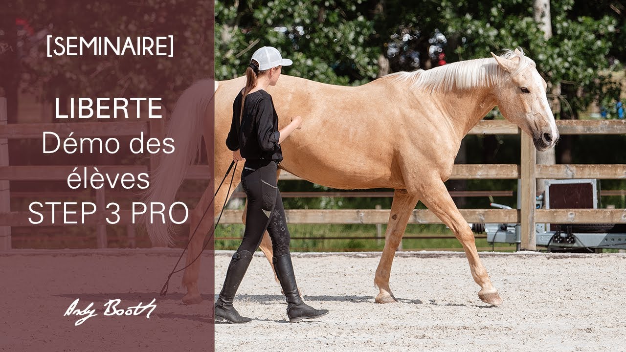 [SEMINAIRE 2023] Préparation et travail en liberté par les STEP 3 PRO