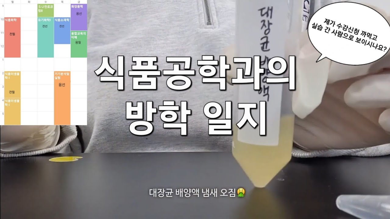 수강신청 까먹고 실습 간 1인 | 식품공학과의 방학 일지 | 식품 위생학 미생물 실험 실습 | 대학생 브이로그 | 복수전공 girl | 마라탕•떡볶이•돈까스•이디야 딸기 펜케익