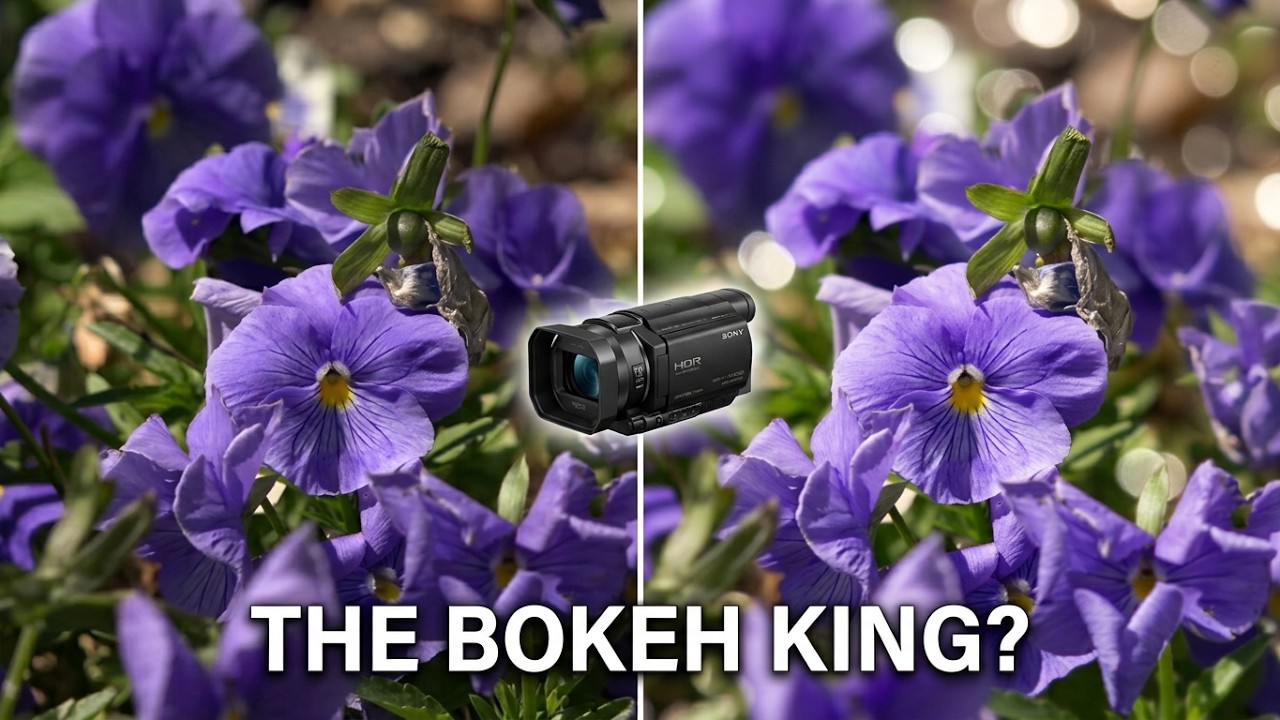 SONY HDR CX900 - TESTING - SHALLOW DEPTH OF FIELD
