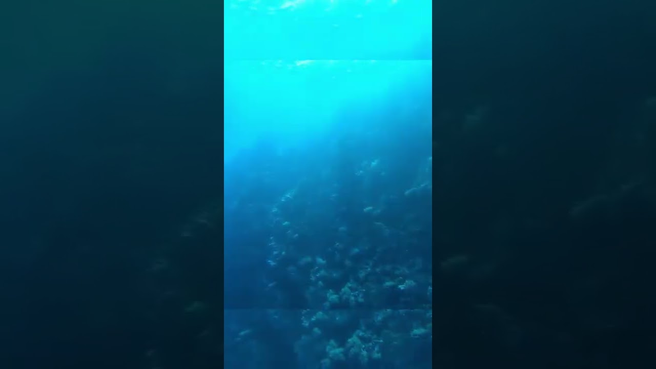 Effect of GoPro Red Light Filter 📷