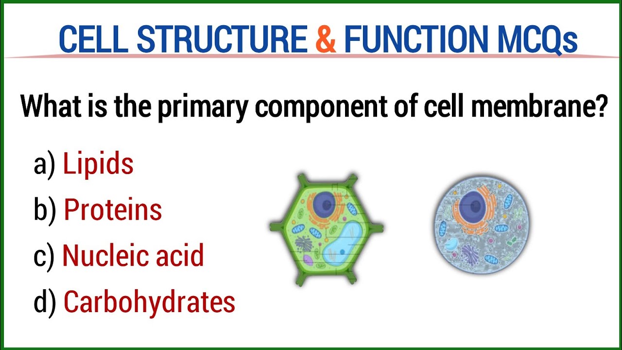 cell structure and function MCQs | cellular biology Mcq with answers | biology mcq