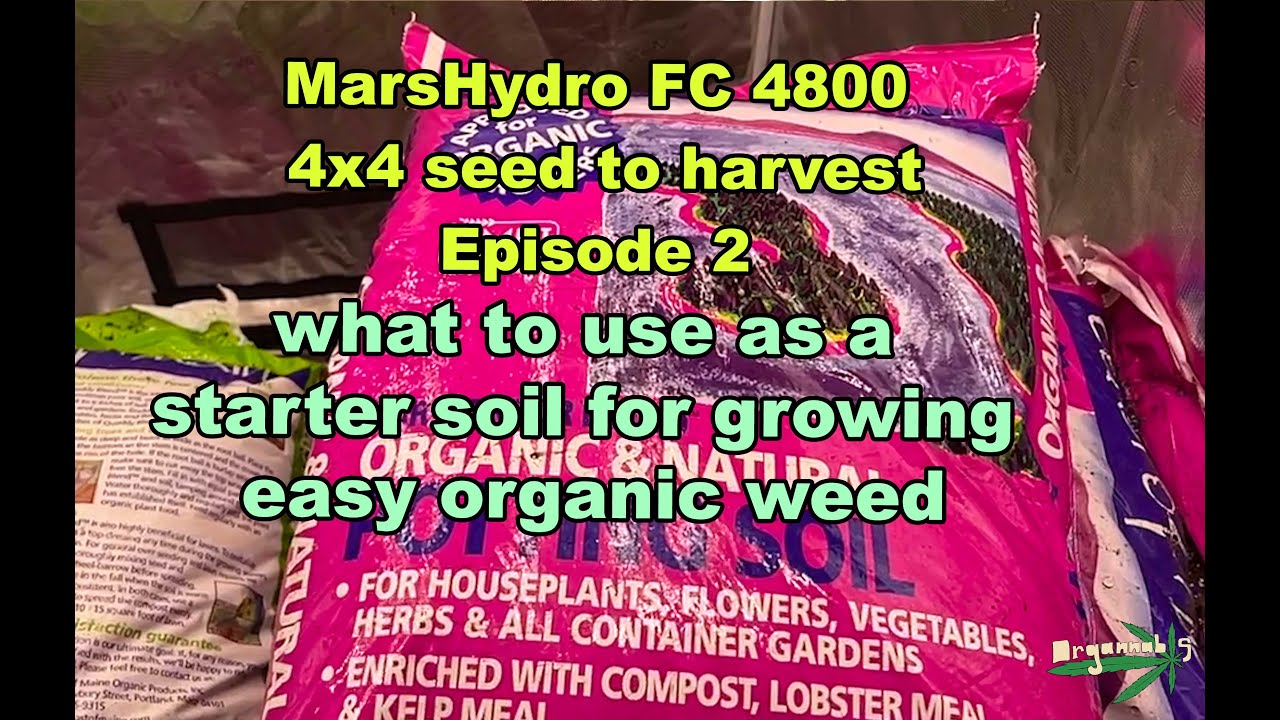 What to Use as a Starter Soil to Grow Organic Weed The Easiest Way 4x4  Mars Hydro FC4800 4x4 ep2