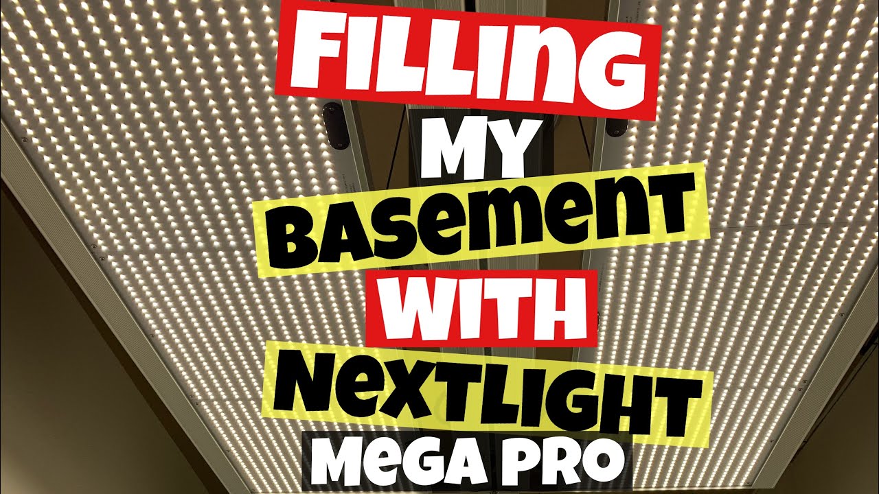 STARTING MY BASEMENT GROW WITH NEXTLIGHT MEGA PRO