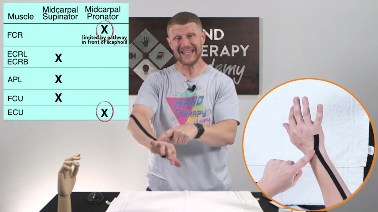 Carpal Kinematics