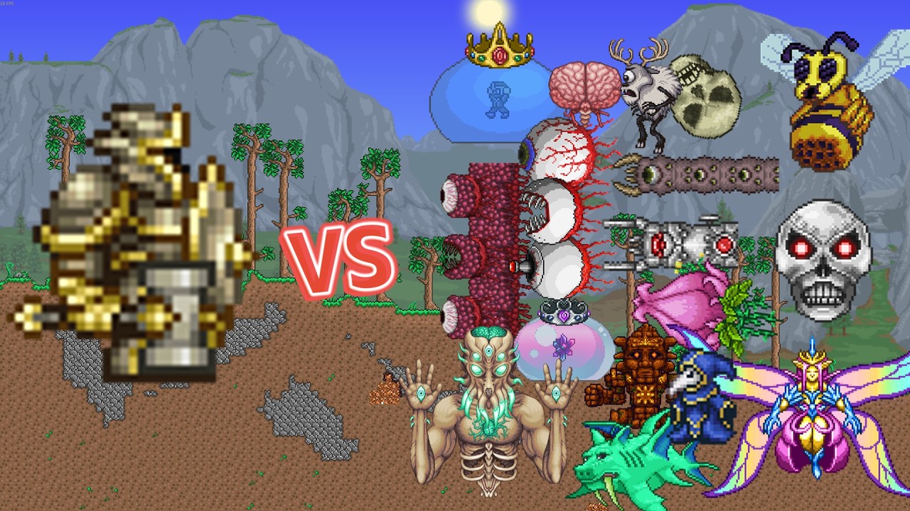 Paladin VS Boss