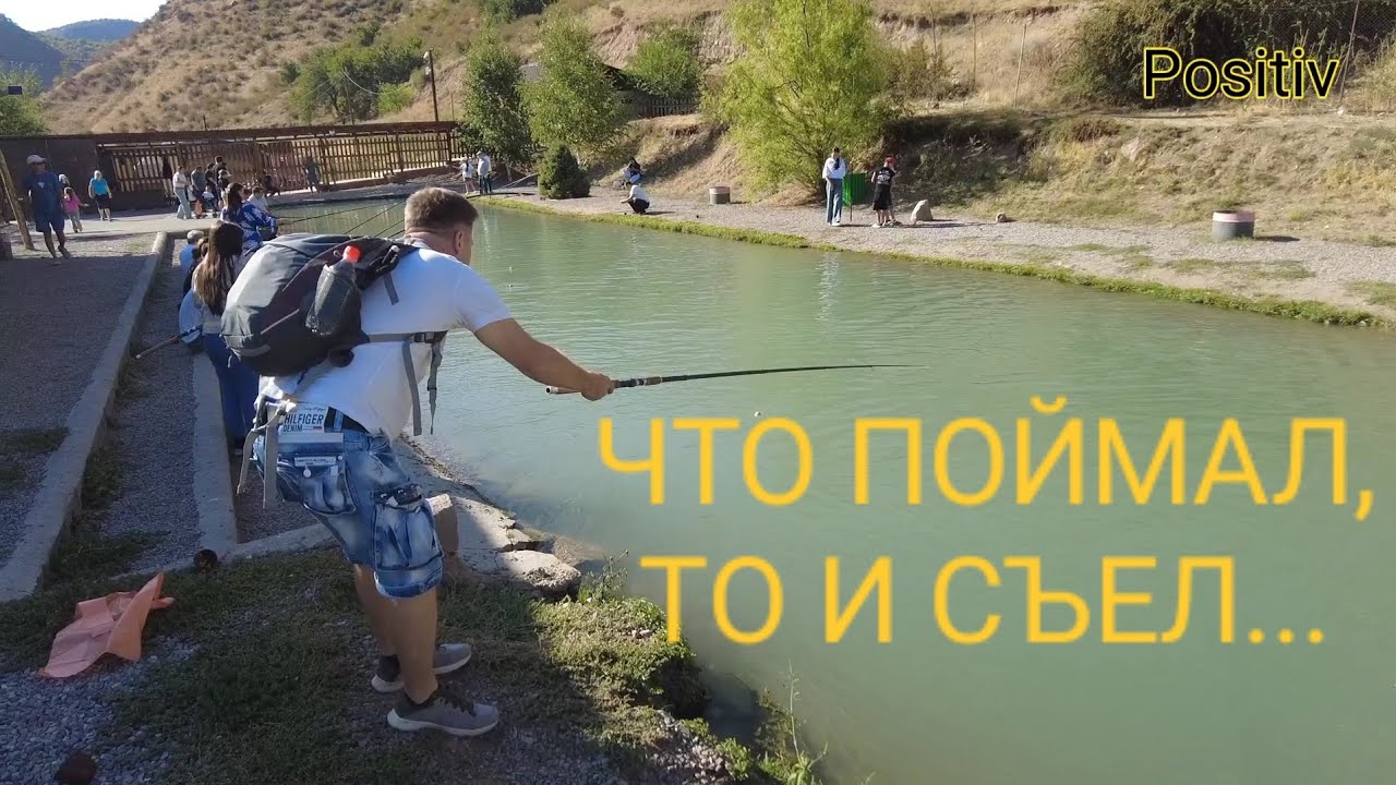 «Невероятный день в горах Казахстана — это стоит увидеть!»