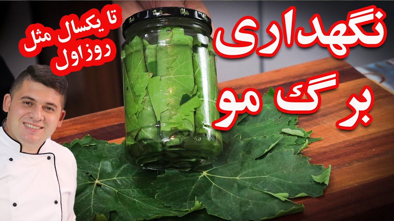 نگهداری برگ مو برای دلمه تا یکسال بیرون از یخچال هروقت دلت خواست دلمه درست کن دوستان خارج از کشور